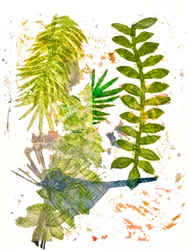 Botanischer Dschungel